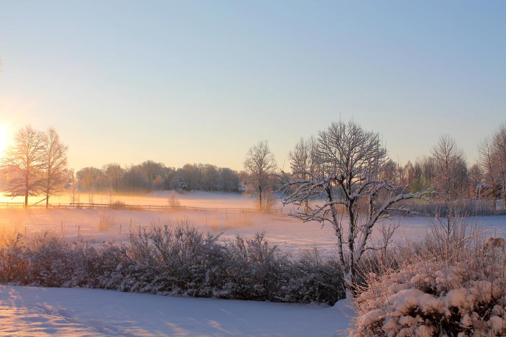 Hoehaellets Lantliga Rum Bed & Breakfast Varnamo Luaran gambar